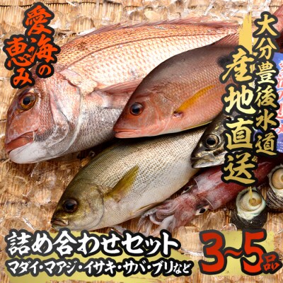 天然 鮮魚詰め合わせ (合計約2.8-3.2kg・3種以上)
