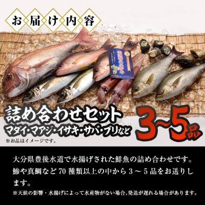 天然 鮮魚詰め合わせ (合計約2.8-3.2kg・3種以上)