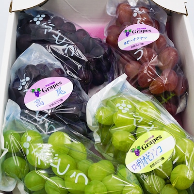 【2026年発送】安部ぶどう園のぶどう3種詰合せ約3kg_H093(R8)