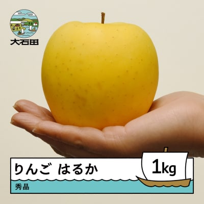 【先行予約】 りんご はるか 秀品 約1kg 2026年産 令和8年産 ry-rihax1000