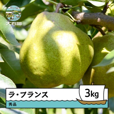 【先行予約】 洋梨 ラ・フランス 秀品 約3kg 2026年産 令和8年産 ry-laxxx3000