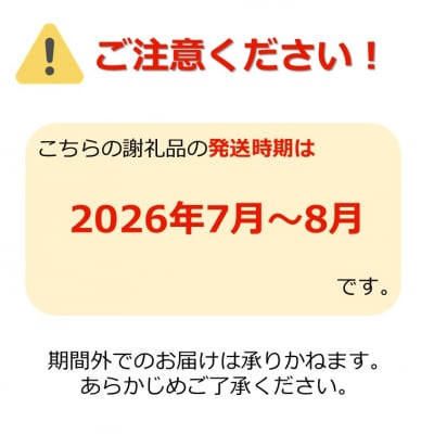 【2026年発送】伊佐沢フルーツ倶楽部の小玉すいか2玉(赤&黄)_H097(R8)