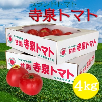 【2026年発送】長井が誇る桃太郎系ブランドトマト「寺泉トマト」約4kg(2kg×2箱)_H101