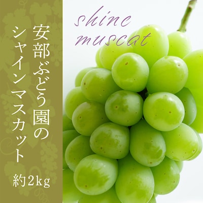 【2026年発送】安部ぶどう園のシャインマスカット約2kg(3～5房)_H160(R8)