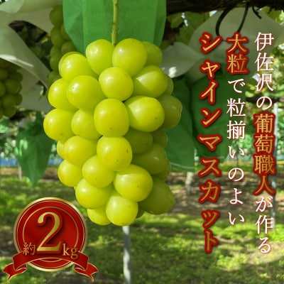 【2026年発送】長井市伊佐沢のぶどう職人が作るシャインマスカット約2kg(2～5房)_H141
