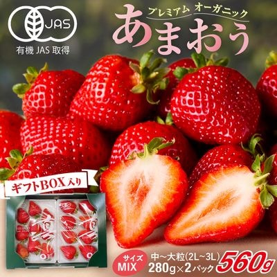 プレミアムオーガニックあまおう 「いせいちご」 スペシャルギフト【伊世いちご畑】_HA0480