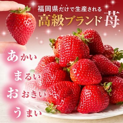 プレミアムオーガニックあまおう 「いせいちご」 スペシャルギフト【伊世いちご畑】_HA0480