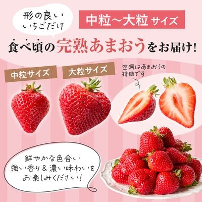プレミアムオーガニックあまおう 「いせいちご」 スペシャルギフト【伊世いちご畑】_HA0480