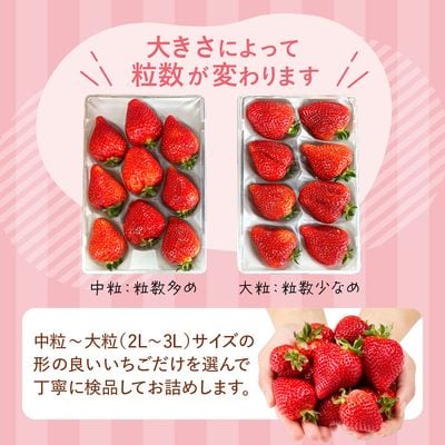 プレミアムオーガニックあまおう 「いせいちご」 スペシャルギフト【伊世いちご畑】_HA0480