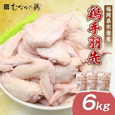 宗像産ブランド鶏【むなかた鶏】手羽先6kg(平飼い)【JAほたるの里】_HA1421