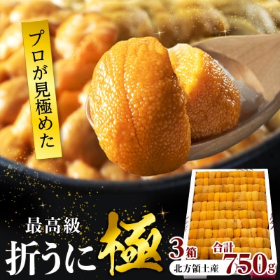 ≪プロ厳選≫最高級折うに(極)計750g_H0014-009