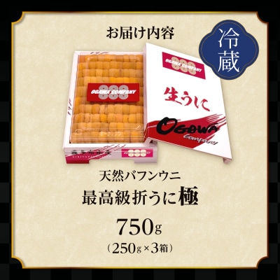 ≪プロ厳選≫最高級折うに(極)計750g_H0014-009