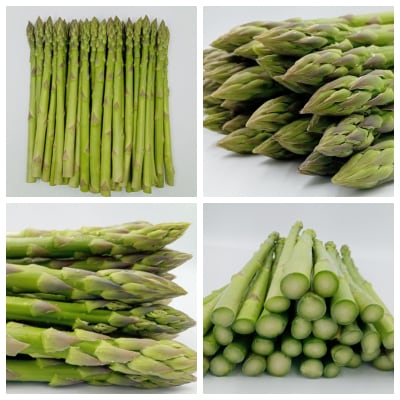 【2026年発送】鈴木・ファームの春アスパラ(L～2Lサイズ・1kg)_H116(R8)