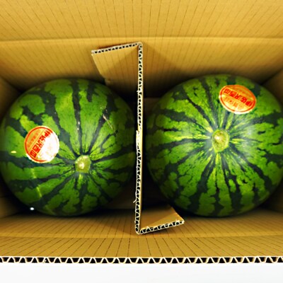 【2026年発送】伊佐沢フルーツ倶楽部の大玉すいか2玉_H099(R8)