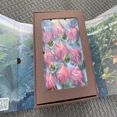 プレミアムオーガニックあまおう 「いせいちご」 プレミアムギフト【伊世いちご畑】_HA0481