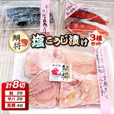 鯛将　塩こうじ漬け3種詰合せ(鮭2切、サバ2切、真鯛4切)【道の駅むなかた】_HA1505