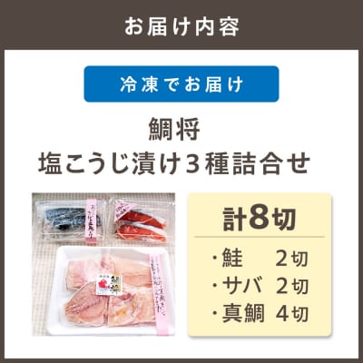 鯛将　塩こうじ漬け3種詰合せ(鮭2切、サバ2切、真鯛4切)【道の駅むなかた】_HA1505