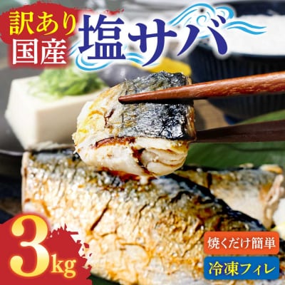 訳あり 国産 塩サバ 切り身 約3kg(約18枚)味付き・冷凍【R01426】