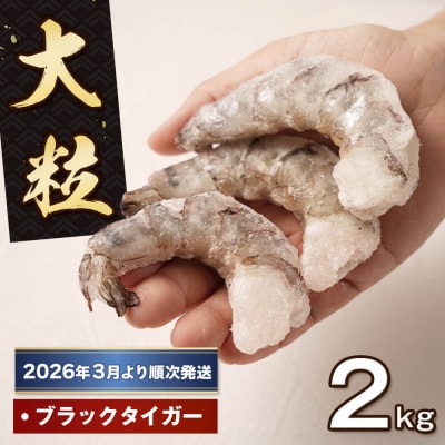 至福の大粒むきえび 背ワタ処理済2kg(1kg×2袋)【2026年3月より順次発送】　ao10018