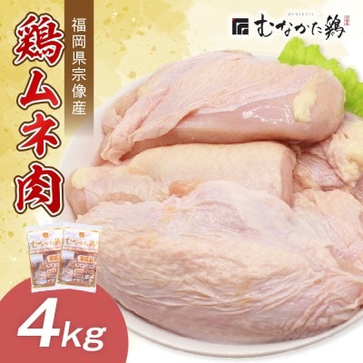 宗像産ブランド鶏【むなかた鶏】ムネ肉4kg(平飼い)【JAほたるの里】_HA1419