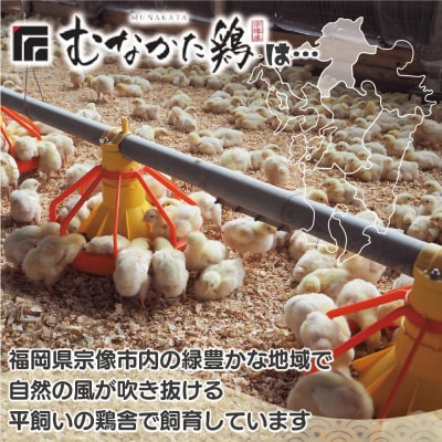 宗像産ブランド鶏【むなかた鶏】ムネ肉4kg(平飼い)【JAほたるの里】_HA1419
