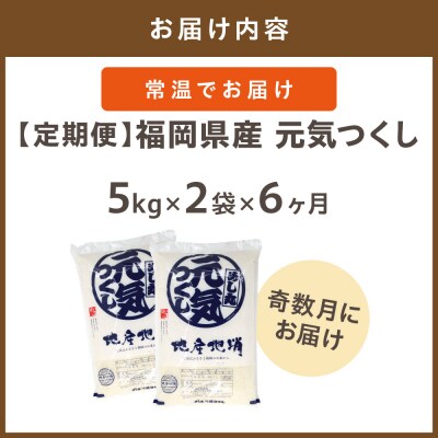 令和7年産【定期便/年6回】「元気つくし」10kg【ほたるの里】_HB0206
