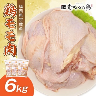 宗像産ブランド鶏【むなかた鶏】モモ肉6kg(平飼い)【JAほたるの里】_HA1415