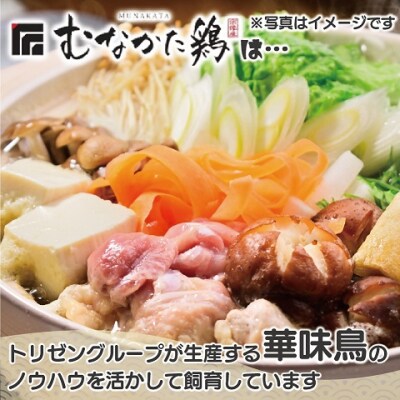 宗像産ブランド鶏【むなかた鶏】モモ肉4kg(平飼い)【JAほたるの里】_HA1416