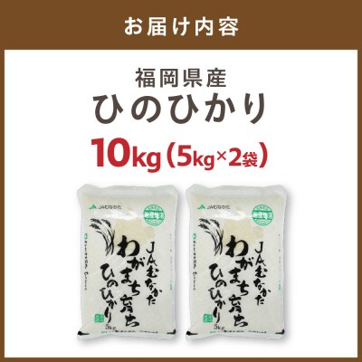 令和7年産「ひのひかり」10kg【ほたるの里】_HA1787