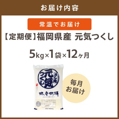 令和7年産【定期便/年12回】元気つくし5kg【ほたるの里】_HB0205