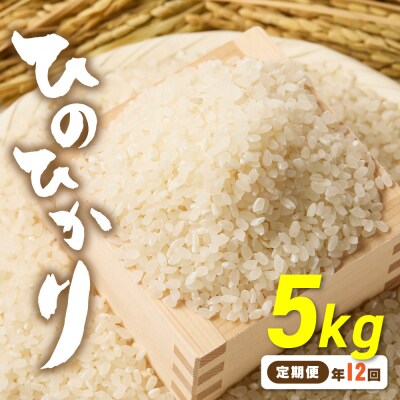 令和7年産 【定期便/年12回】ひのひかり5kg【ほたるの里】_HB0197