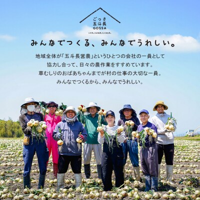 五斗長たまねぎ 20kg(20kg箱×1) 淡路島産玉ねぎ　ag01702