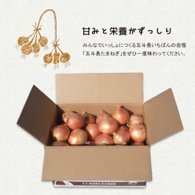 五斗長たまねぎ 20kg(20kg箱×1) 淡路島産玉ねぎ　ag01702