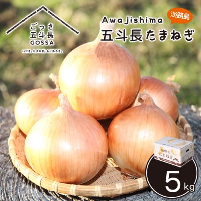 五斗長たまねぎ 5kg 淡路島産玉ねぎ　ag01606