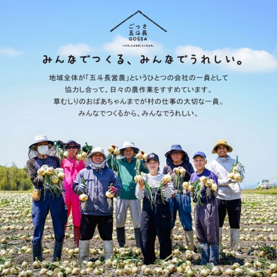 五斗長たまねぎ 5kg 淡路島産玉ねぎ　ag01606