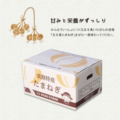 五斗長たまねぎ 5kg 淡路島産玉ねぎ　ag01606