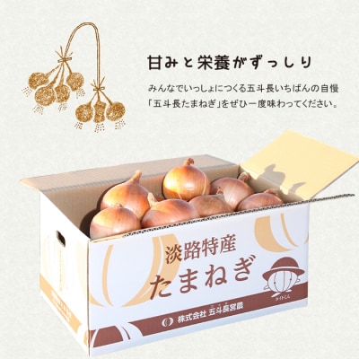 五斗長たまねぎ 10kg 淡路島産玉ねぎ　ag01607
