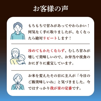 きぬむすめ 10kg 精米 HC410