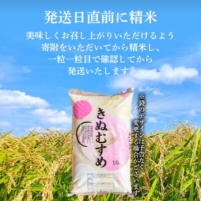 きぬむすめ 10kg 精米 HC410