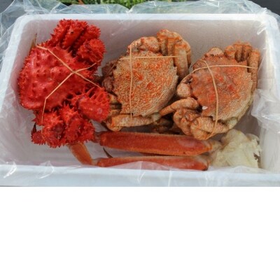 本ズワイガニ、花咲ガニ、クリガニ【12/31決済分まで1月配送】 B-57012