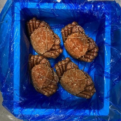 【北海道根室産】毛がに350g前後×4尾【12/31決済分まで1月配送】 C-21005