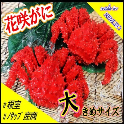 【北海道根室産】花咲がに2尾(計1.3kg)【12/31決済分まで1月配送】 F-59005