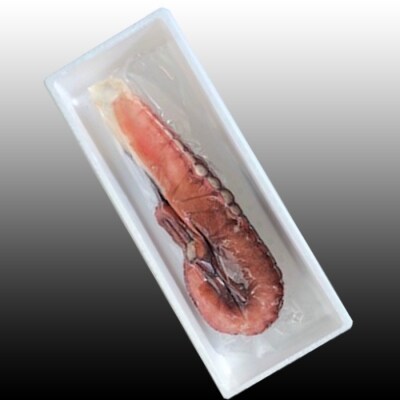 ★たこ足800g前後～1.4kg前後×1本【12/31決済分まで1月配送】 A-30050