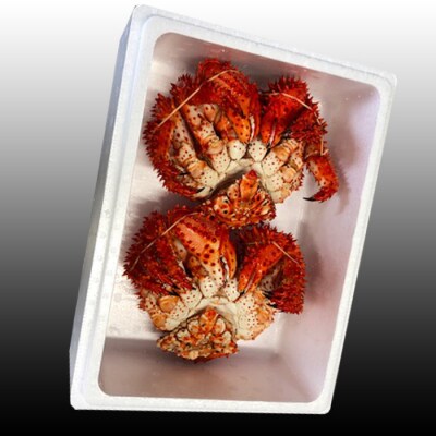 ★花咲かに500g前後～650g前後×2尾【12/31決済分まで1月配送】 B-36002