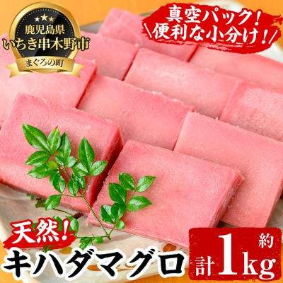 天然 キハダマグロ 1kg(100g×7～10柵) 真空 冷凍