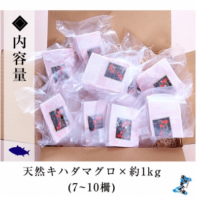 天然 キハダマグロ 1kg(100g×7～10柵) 真空 冷凍