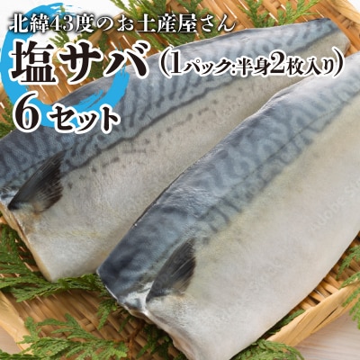北緯43度のお土産屋さん 塩サバ 6セット  F21H-446