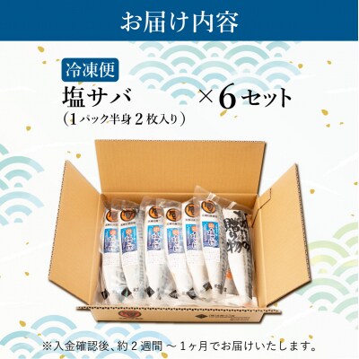 北緯43度のお土産屋さん 塩サバ 6セット  F21H-446
