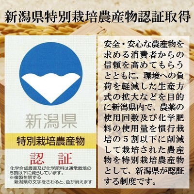 【毎月定期便】【新潟県出雲崎産コシヒカリ】ブランド米「出雲崎の輝き」5kg 全3回