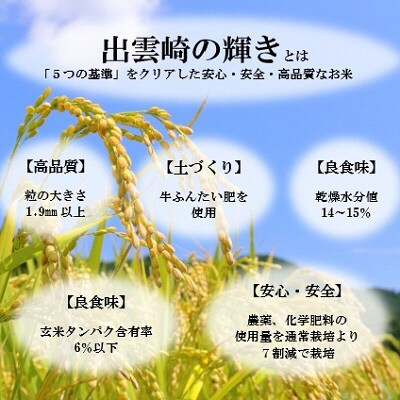 【毎月定期便】【新潟県出雲崎産コシヒカリ】ブランド米「出雲崎の輝き」5kg 全6回